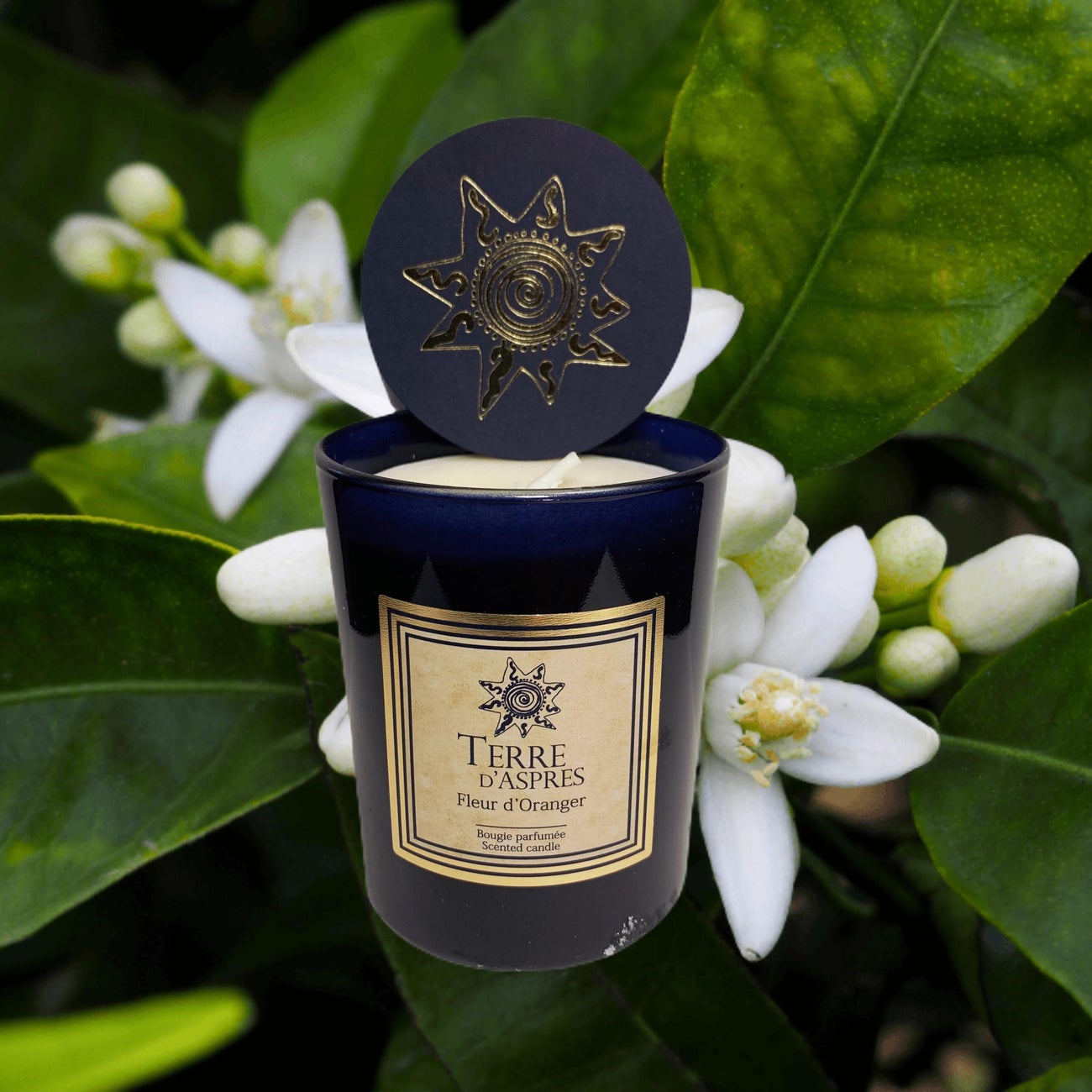 la-boutik-terre-daspres-bougie-deco